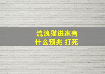 流浪猫进家有什么预兆 打死